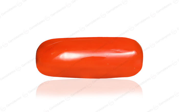 Coral - 6.15 Carats
