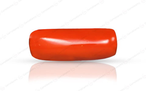 Coral - 7.1 Carats