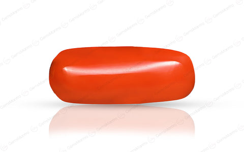 Red Coral (Moonga) – 5.95 Carat / 6.5 Ratti [GM09626]