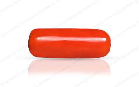 Coral - 6.3 Carats