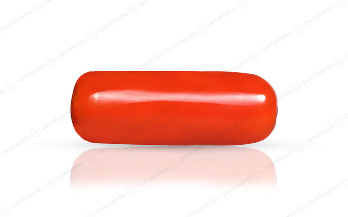 Coral - 6.3 Carats