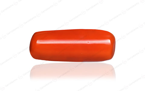 Red Coral - 7.15 Carats