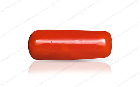 Coral - 6.4 Carats