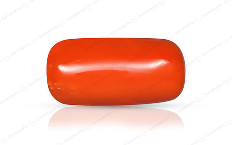 Red Coral - 6.9 Carats