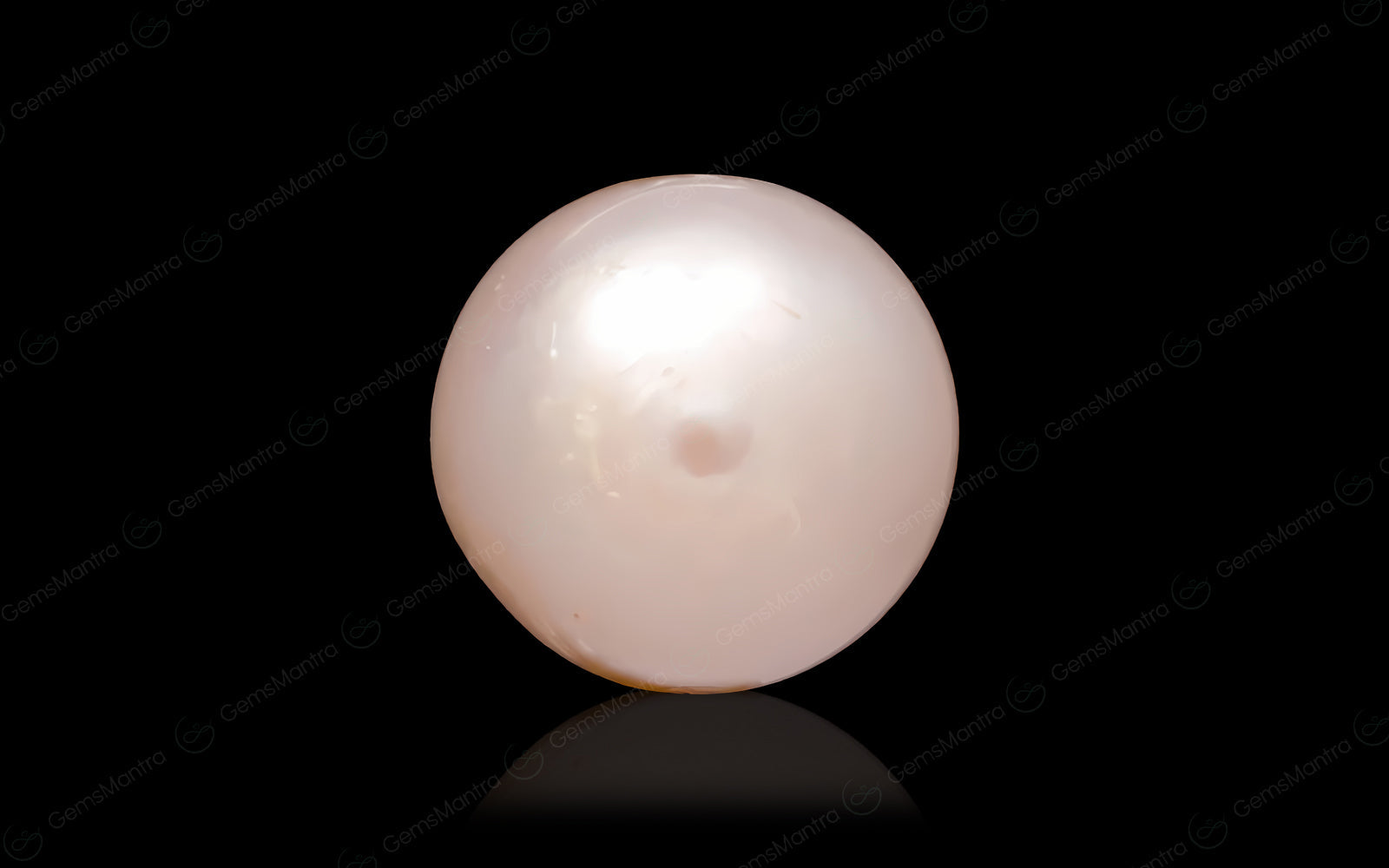Pearl - 6. Carats
