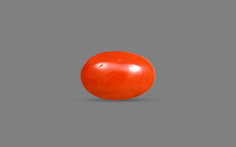 Red Coral (Moonga) – 11.67 Carat / 12.8 Ratti [GM10097]
