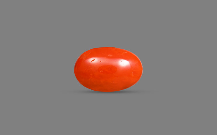 Red Coral - 11.67 Carats