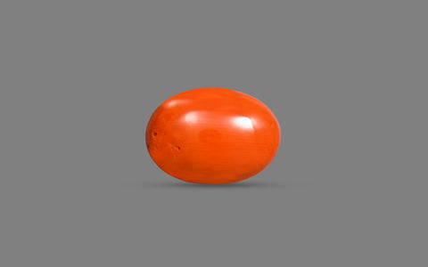 Red Coral (Moonga) – 9.26 Carat / 10.2 Ratti [GM10100]