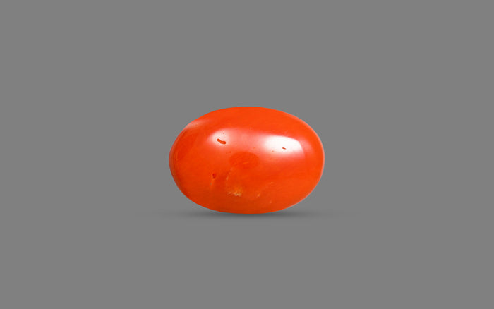 Red Coral - 5.86 Carats