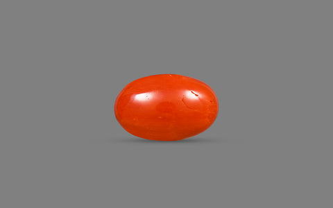 Red Coral (Moonga) – 6.12 Carat / 6.7 Ratti [GM10104]