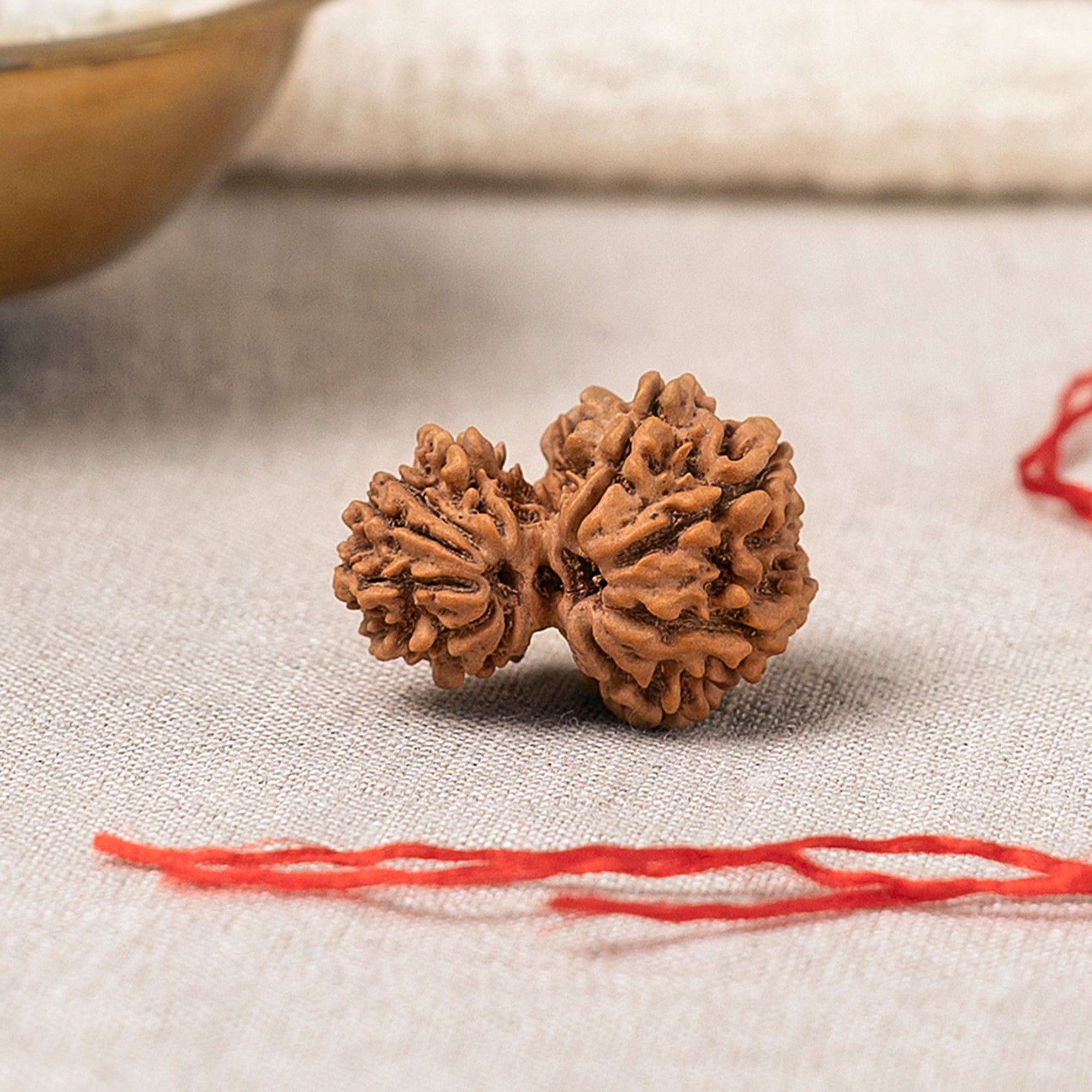 Garbh Gauri Shankar Rudraksha – Original Bead