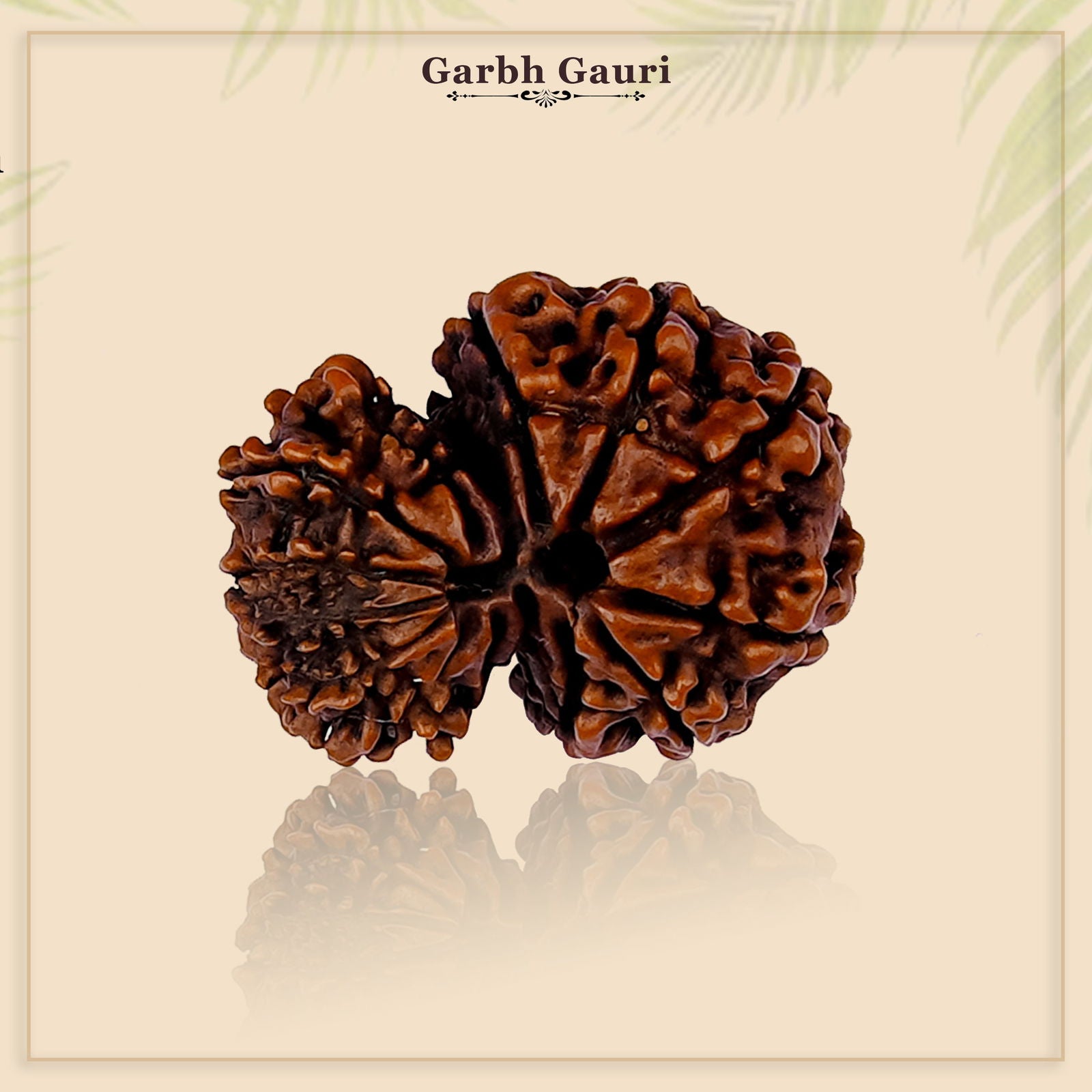 Garbh Gauri Shankar Rudraksha - Gemsmantra