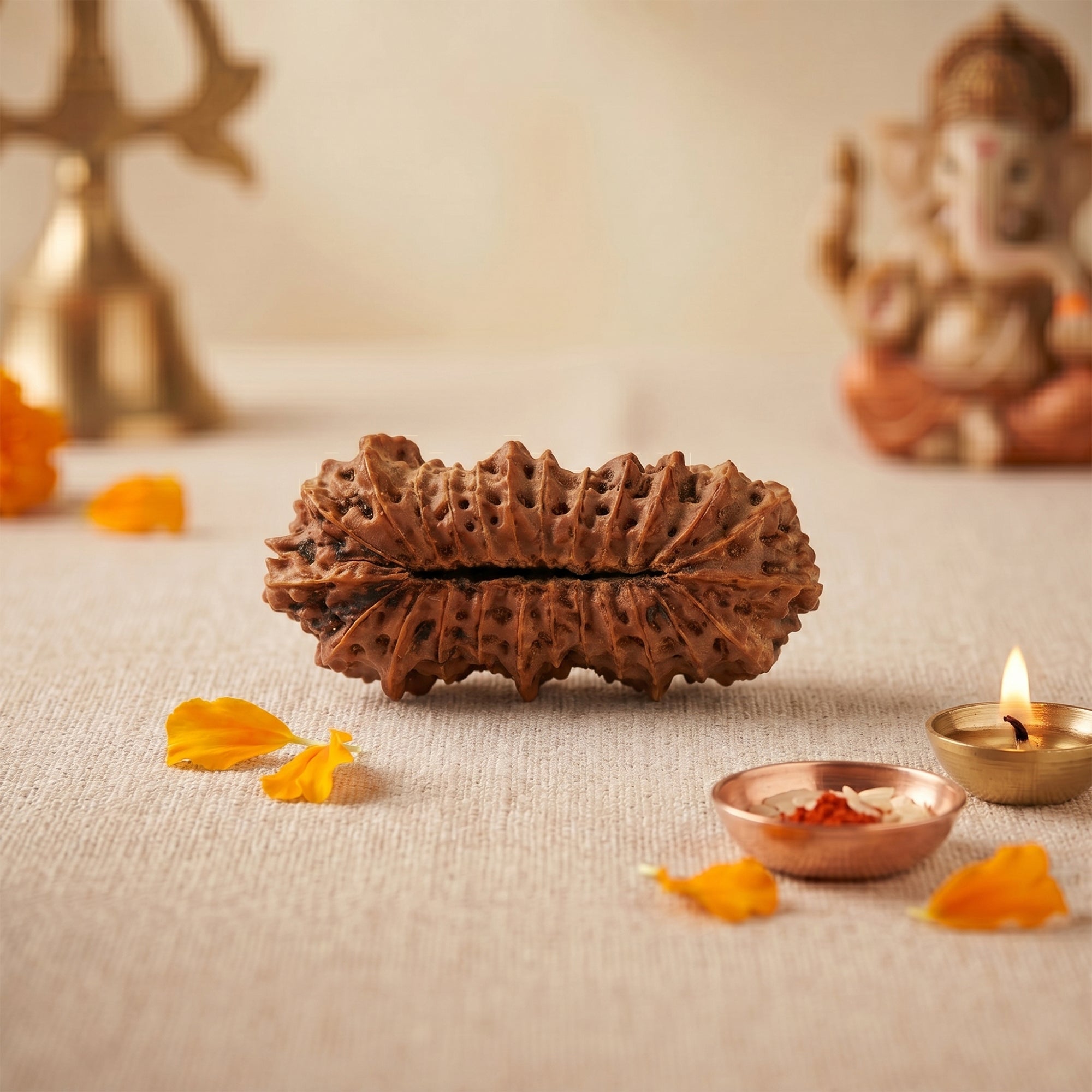 Natural 25 Mukhi Rudraksha – Original Indonesian Bead