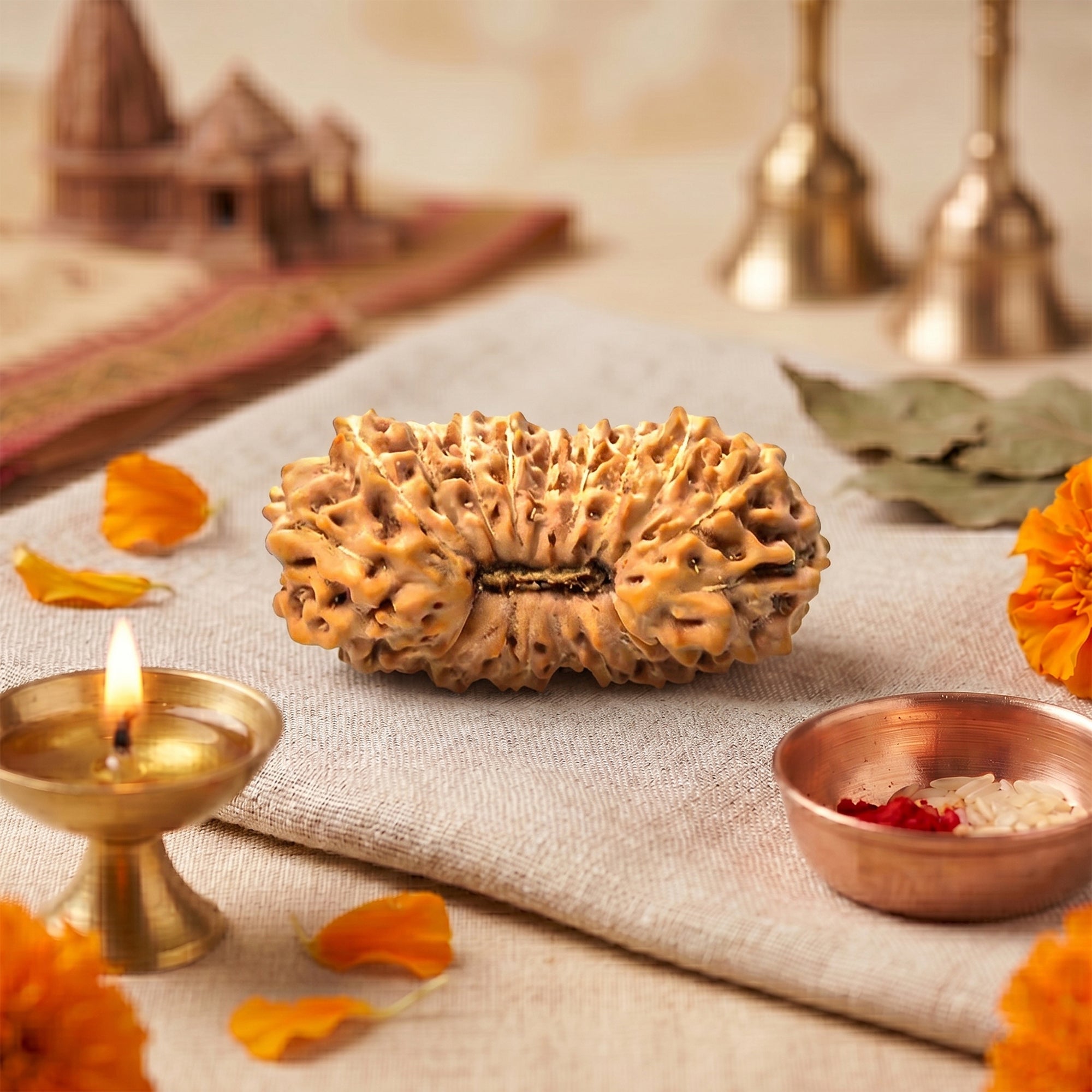Natural 23 Mukhi Rudraksha – Original Indonesian Bead