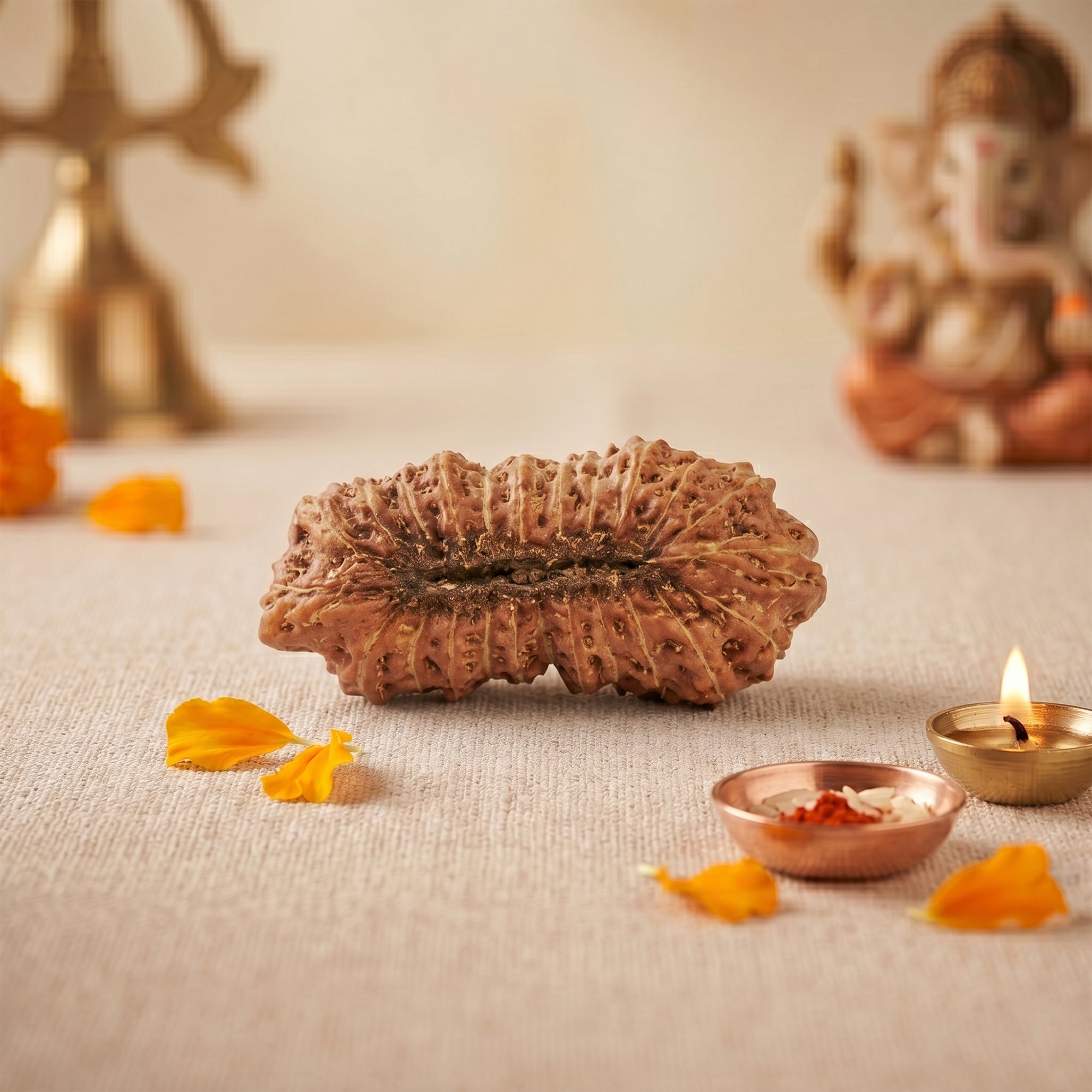 Natural 24 Mukhi Rudraksha – Original Indonesian Bead