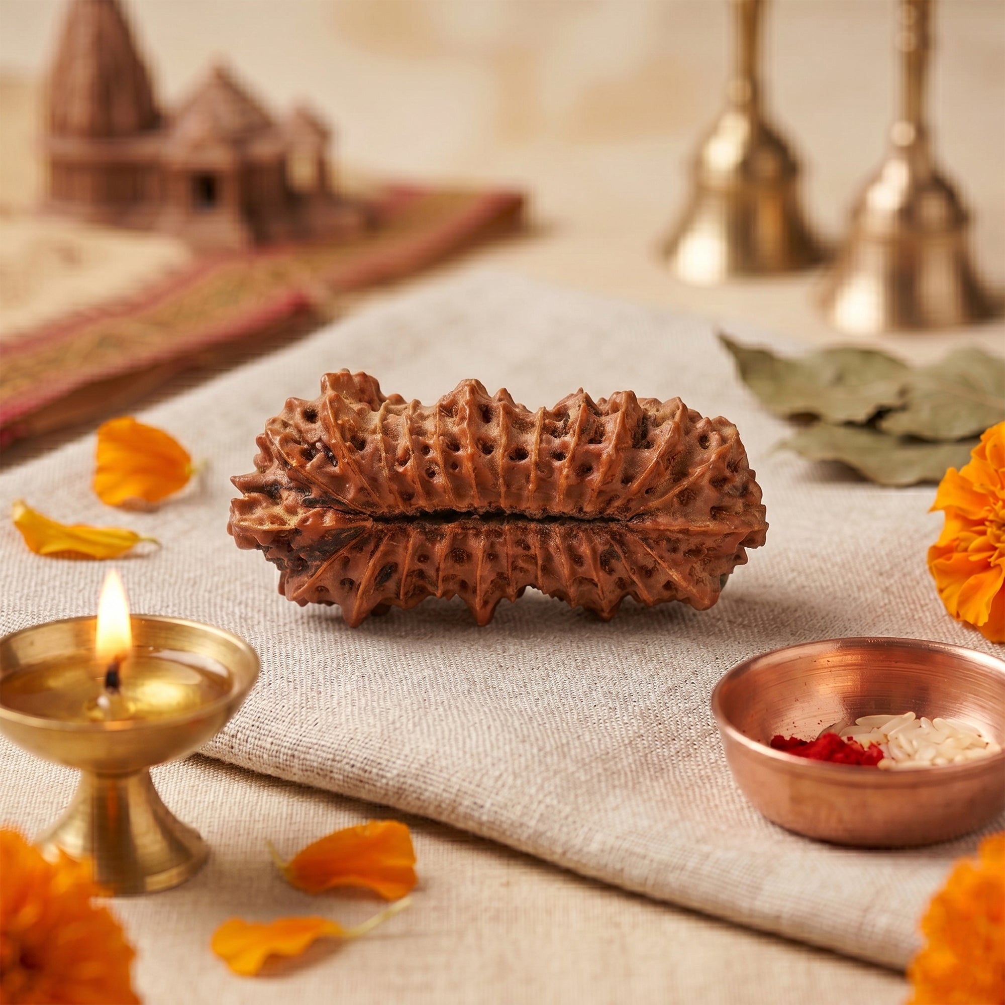 Natural 25 Mukhi Rudraksha – Original Indonesian Bead