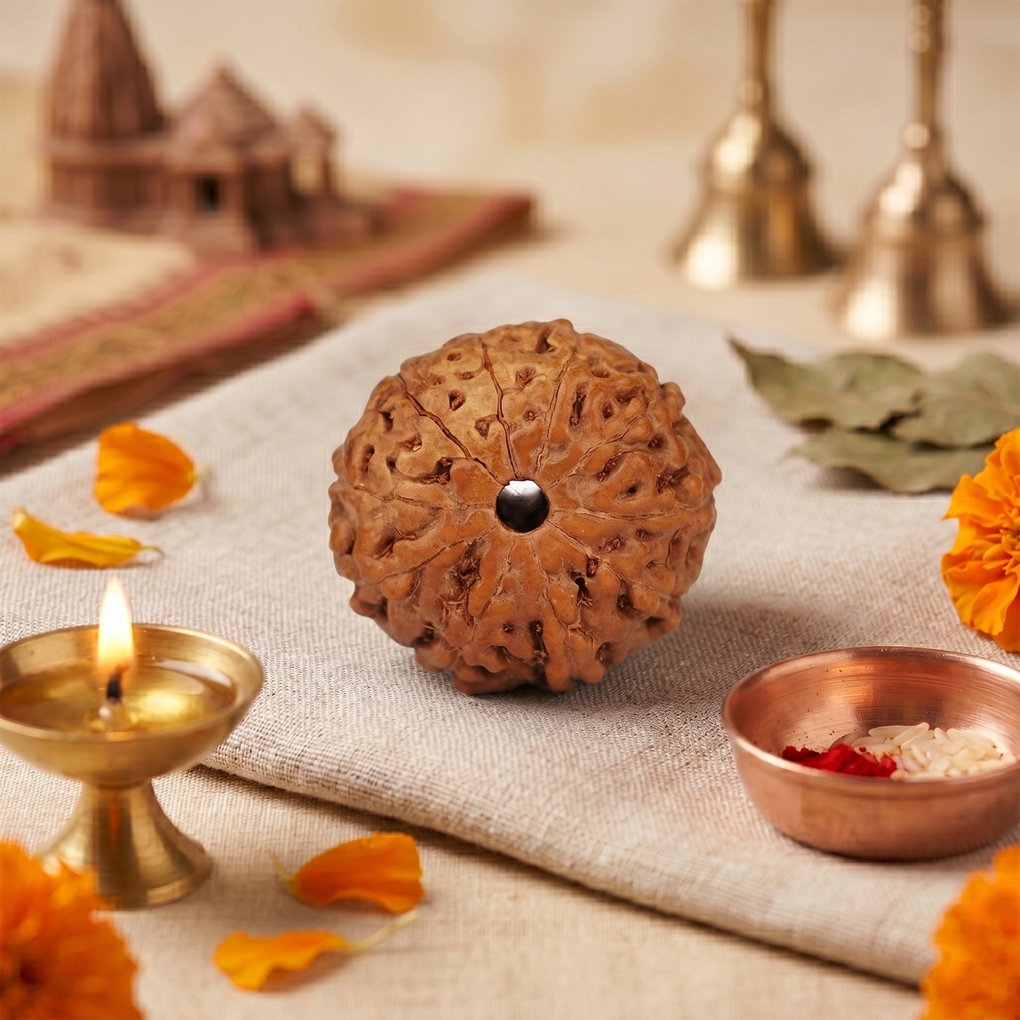 10 Mukhi Rudraksha – Original Indonesian Bead