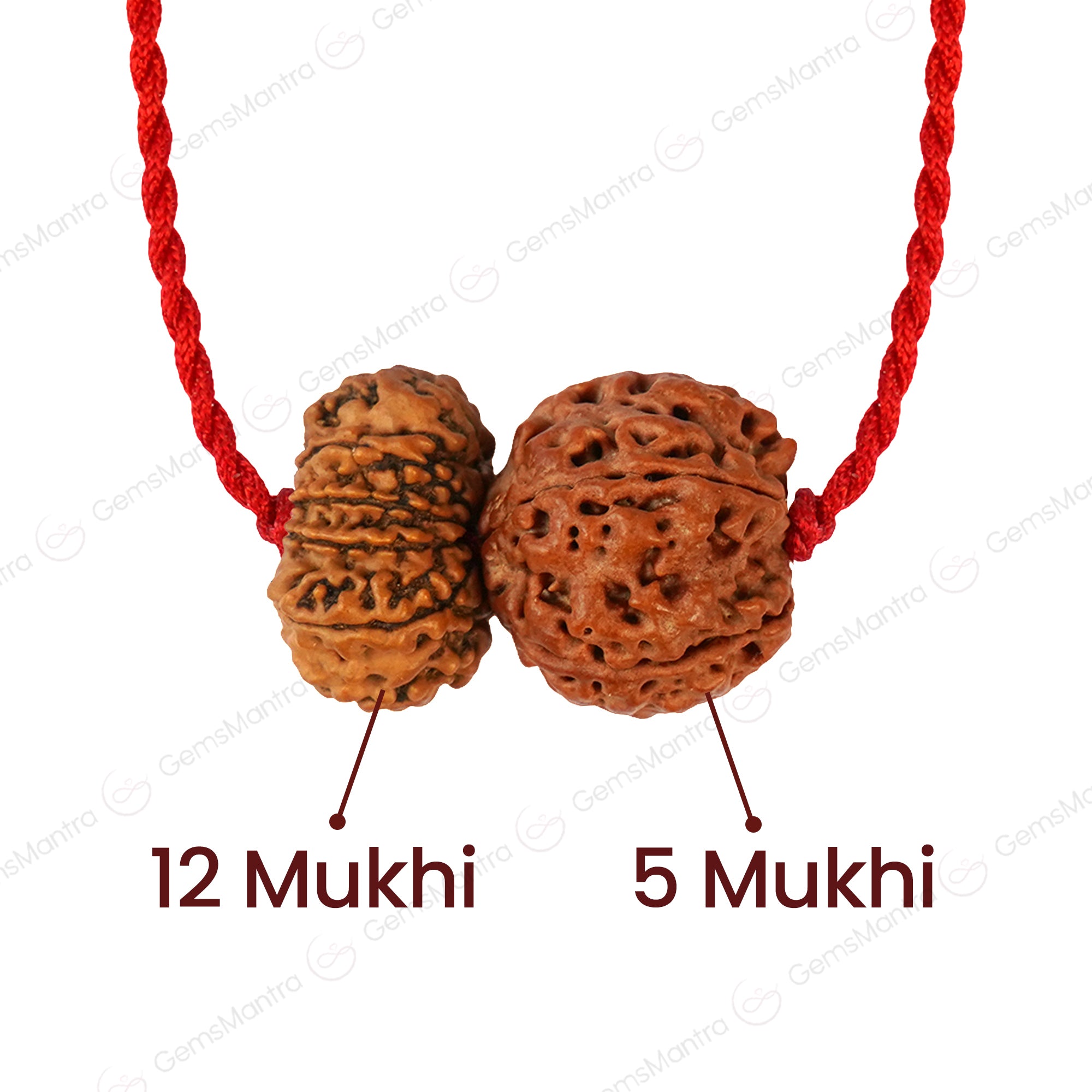 Guru-Surya Rajyog Satta Prabhav Kavach