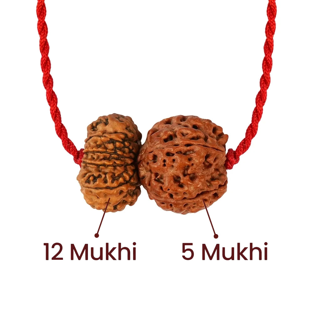 Guru-Surya Rajyog Satta Prabhav Kavach – 12 & 5 Mukhi Rudraksha