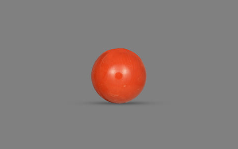 Red Coral (Moonga) - 5.23 Carats