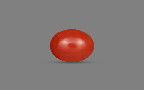 Red Coral (Moonga) - 6.64 Carats