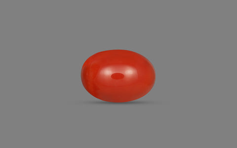 Red Coral (Moonga) - 7.41 Carats