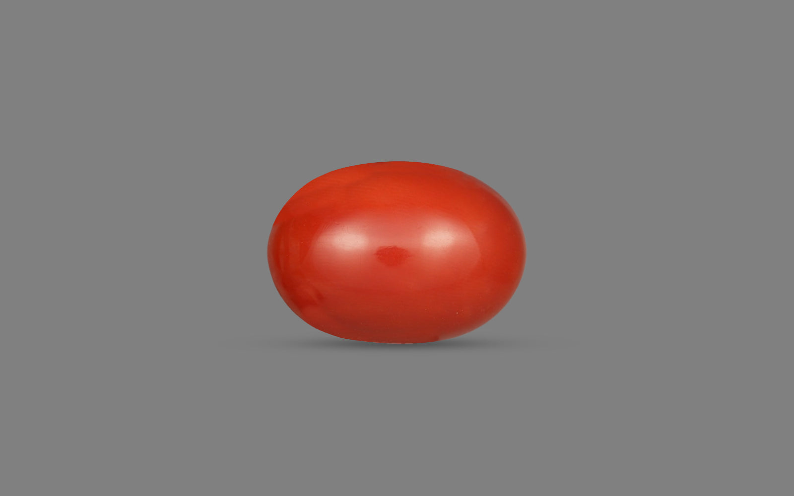 Red Coral (Moonga) - 11.3 Carats