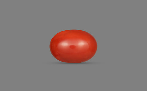 Red Coral (Moonga) - 11.3 Carats
