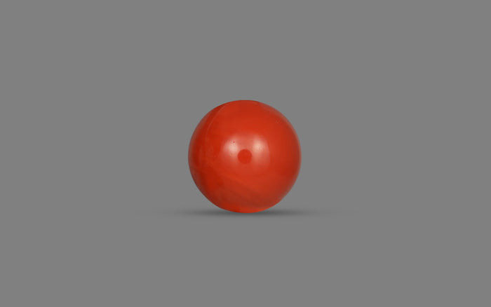 Red Coral (Moonga) - 14.06 Carats
