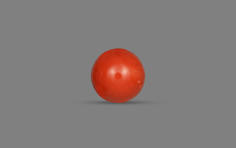 Red Coral (Moonga) - 7.67 Carats
