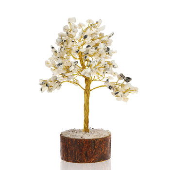 Large Rainbow Moonstone Crystal Tree - Gemsmantra