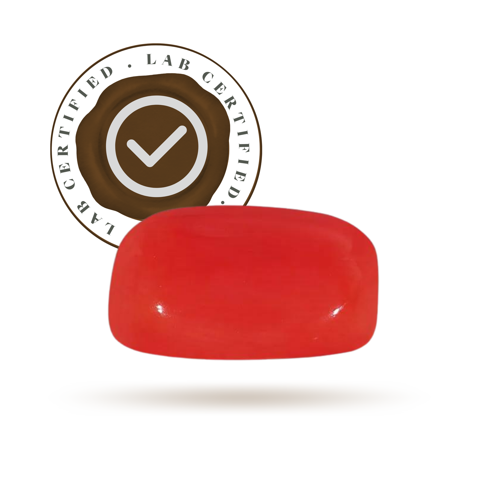 Red coral 12 ratti price deals