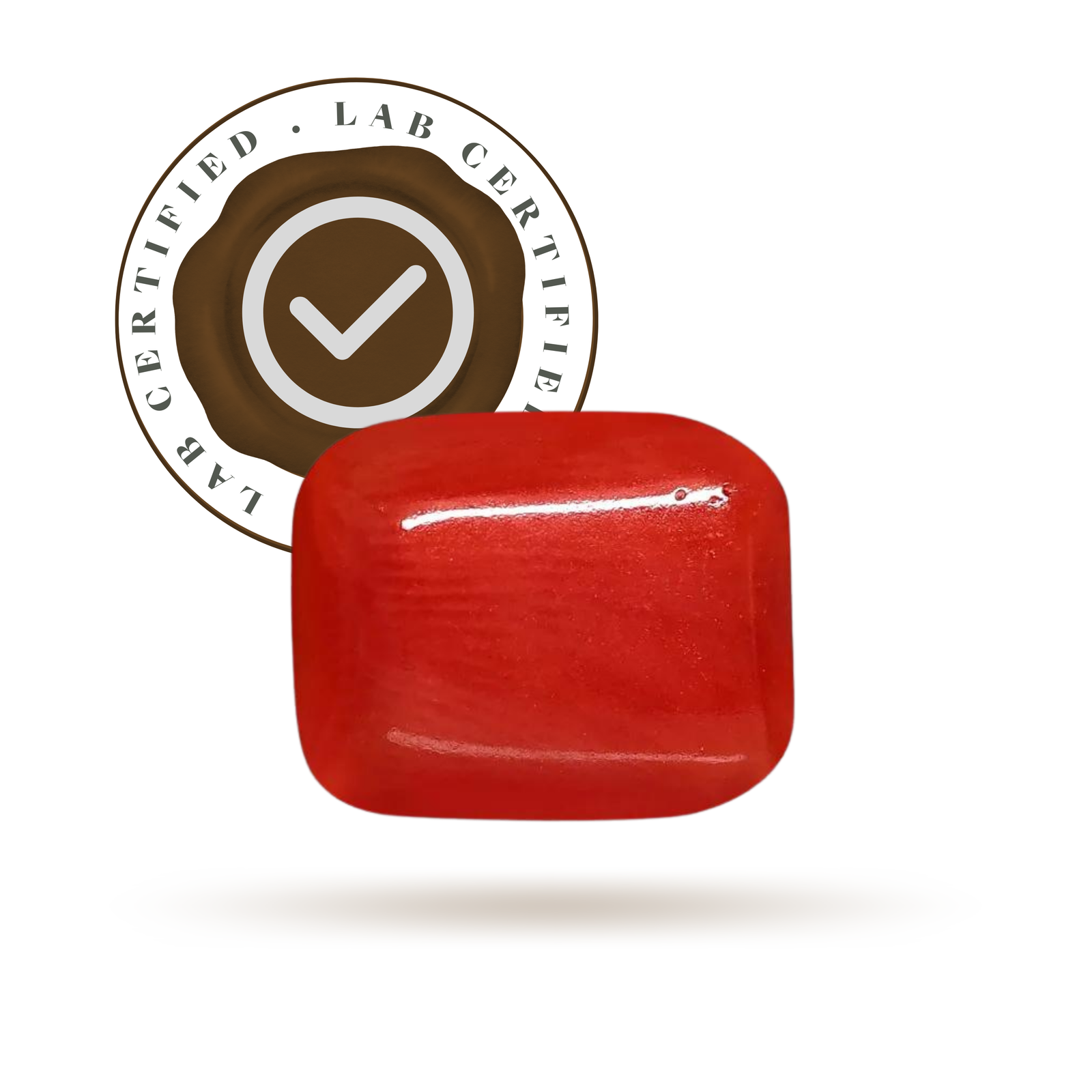 Moonga stone ratti price outlet