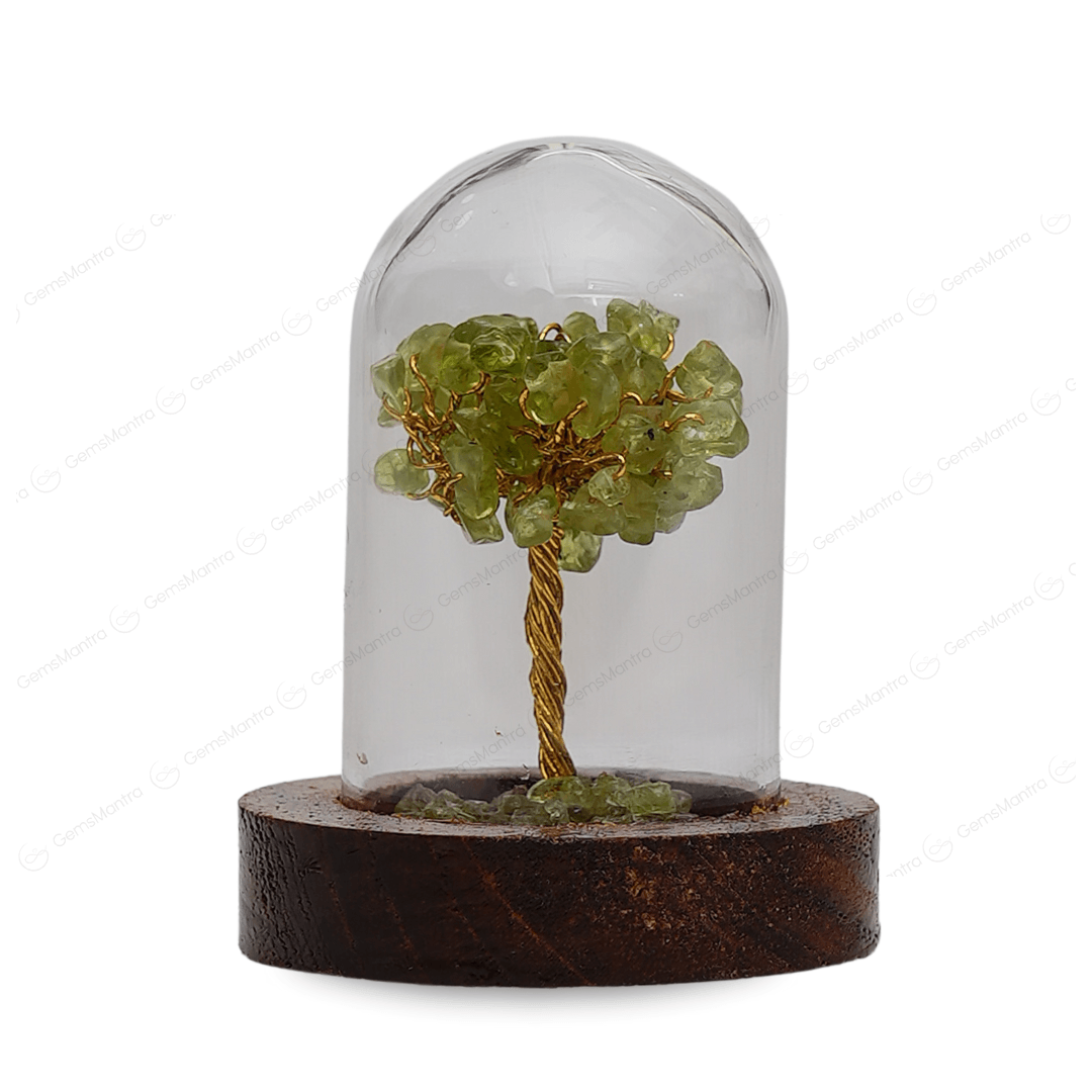 Peridot Glass Cover Showcase Tree - Gemsmantra