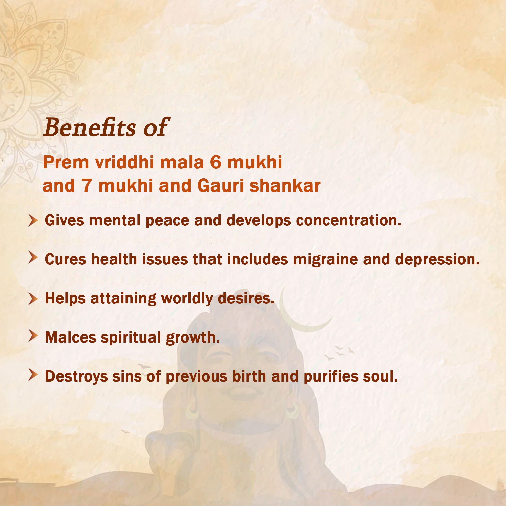 Prem Vriddhi Mala - 6 Mukhi, 7 Mukhi and Gauri Shankar Rudraksha (AB)
