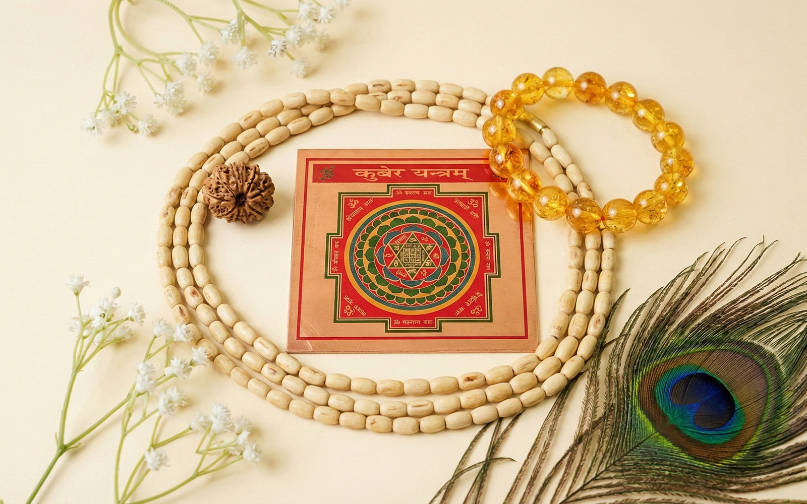 Premium Protection & Prosperity Combo