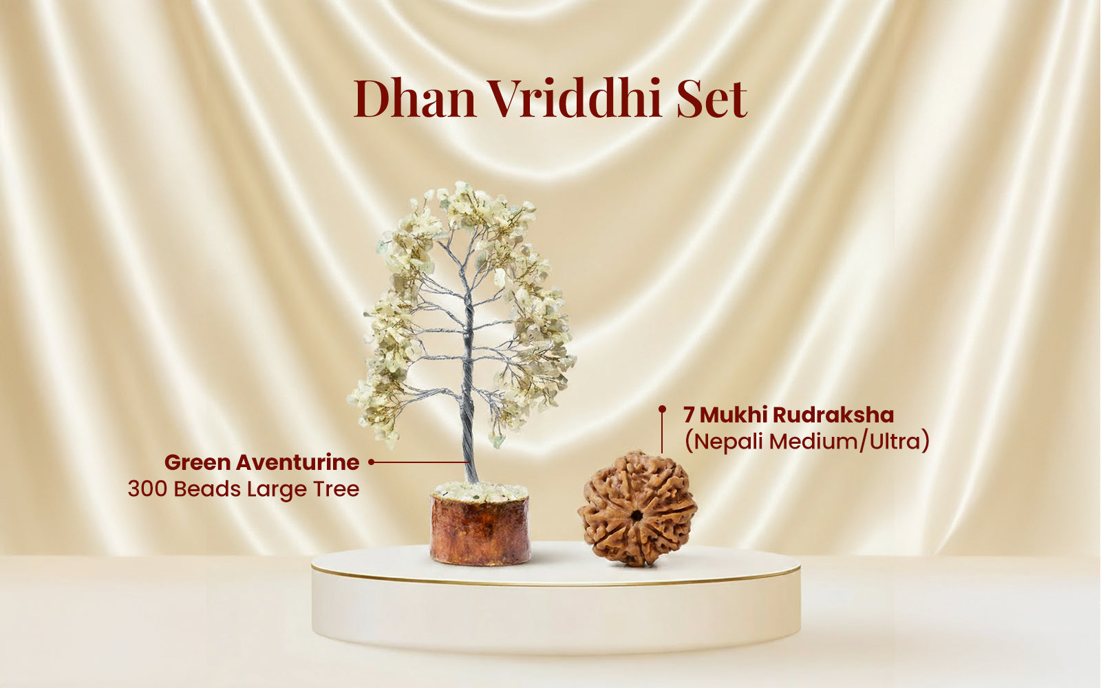 Dhan Vriddhi Set
