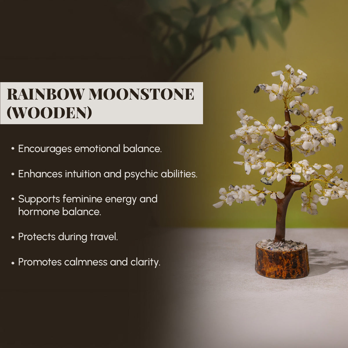 Rainbow Moonstone Crystal Tree – Wooden Base, for Vastu – view 3