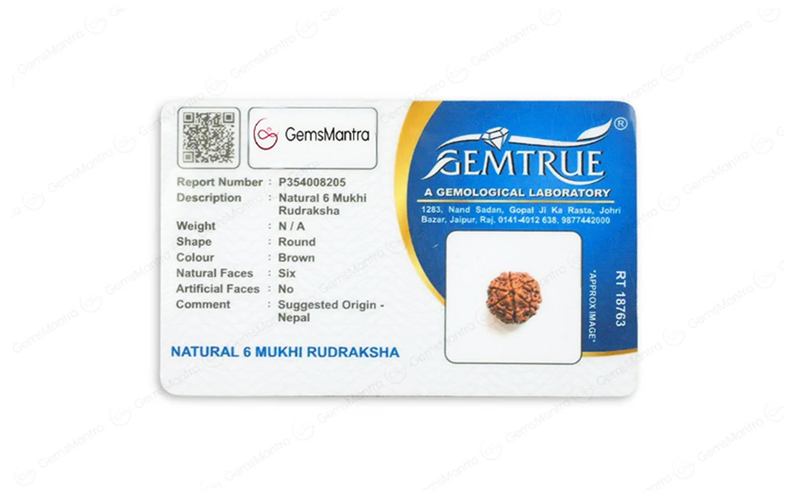 Natural 6 Mukhi Rudraksha (Nepali)