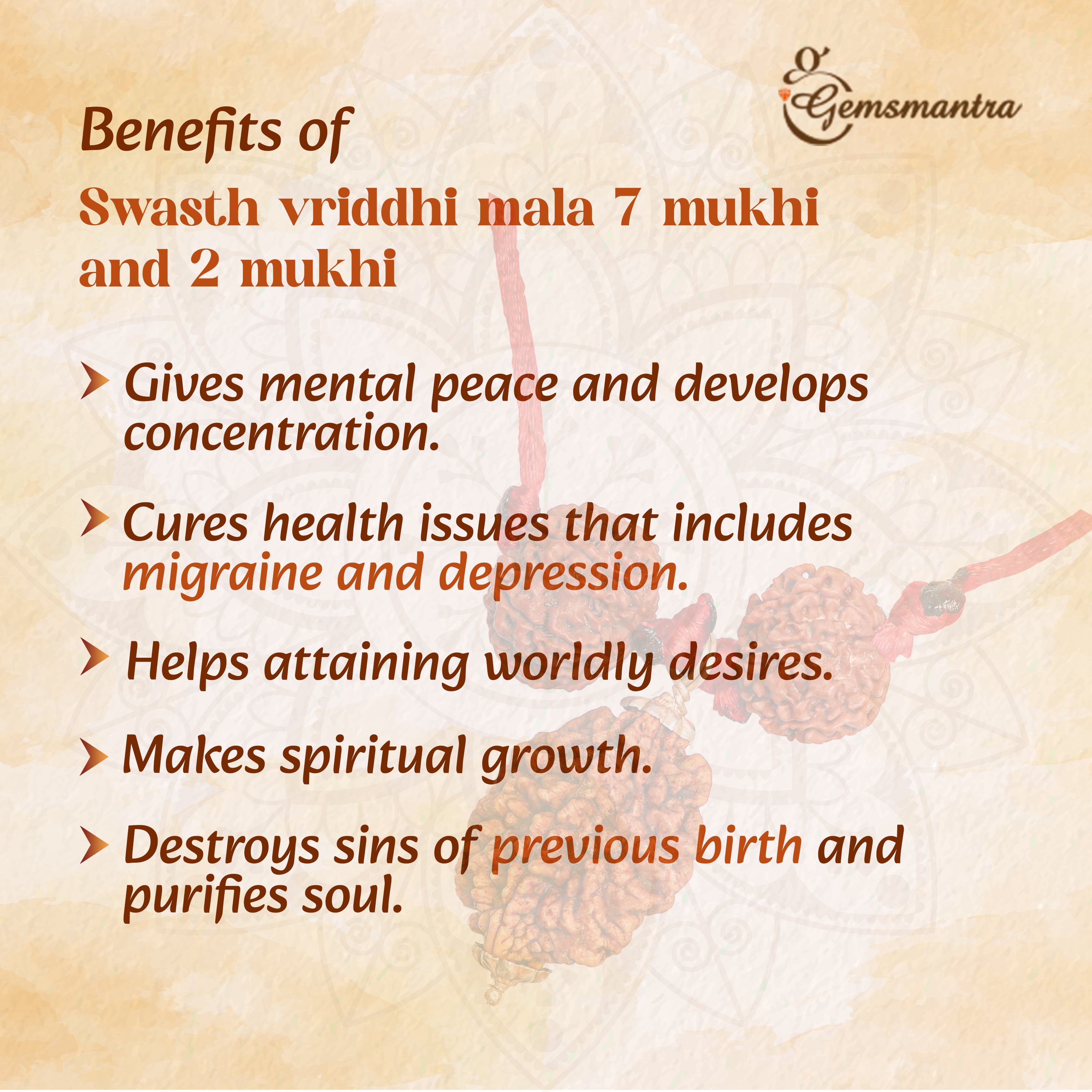 Swasth Vriddhi Mala/Bracelet - 7 Mukhi and 2 Mukhi Rudraksha