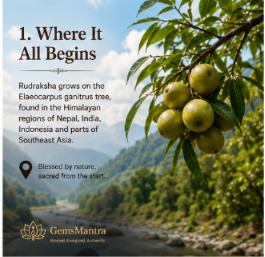 Sacred Arun Valley