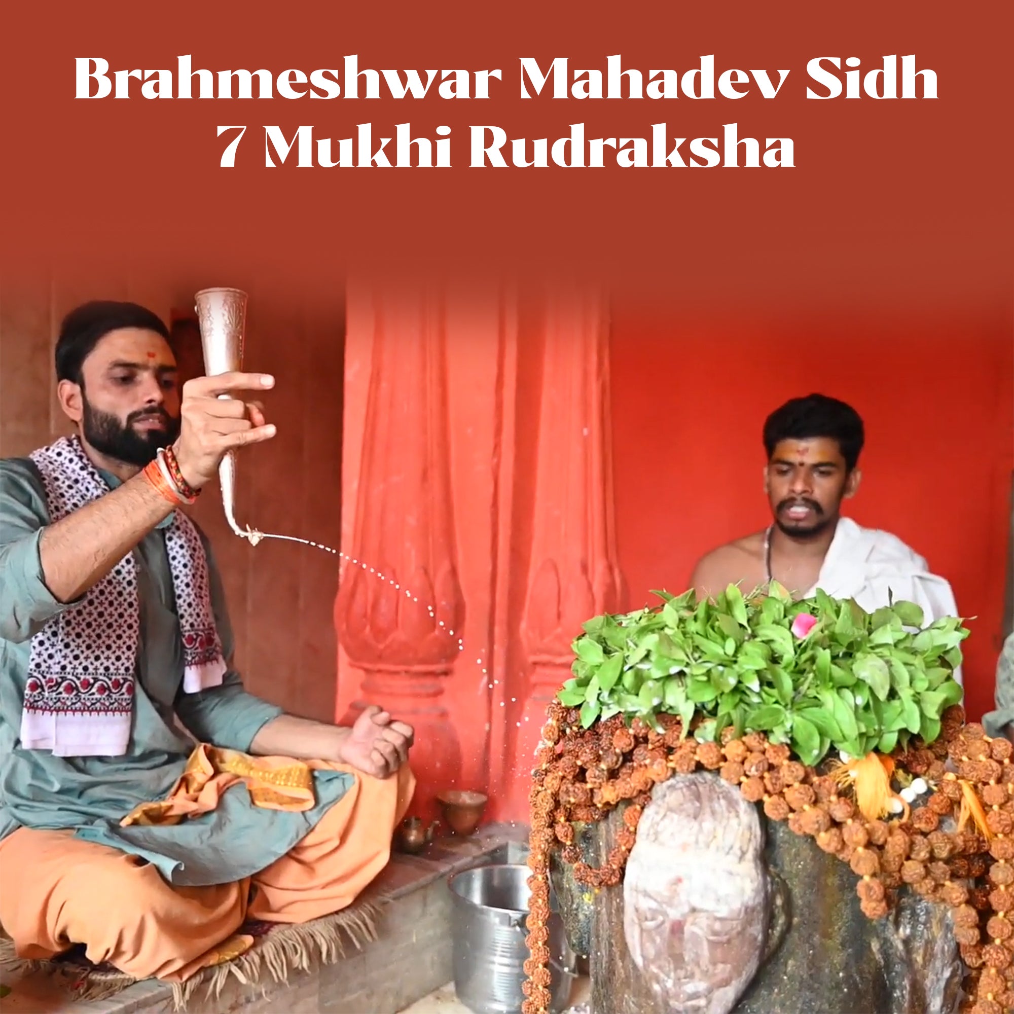 7 Mukhi Rudraksha – Kashi Siddh Ritual Energized Nepali Bead