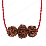 Shakti Kawach with Free Certification