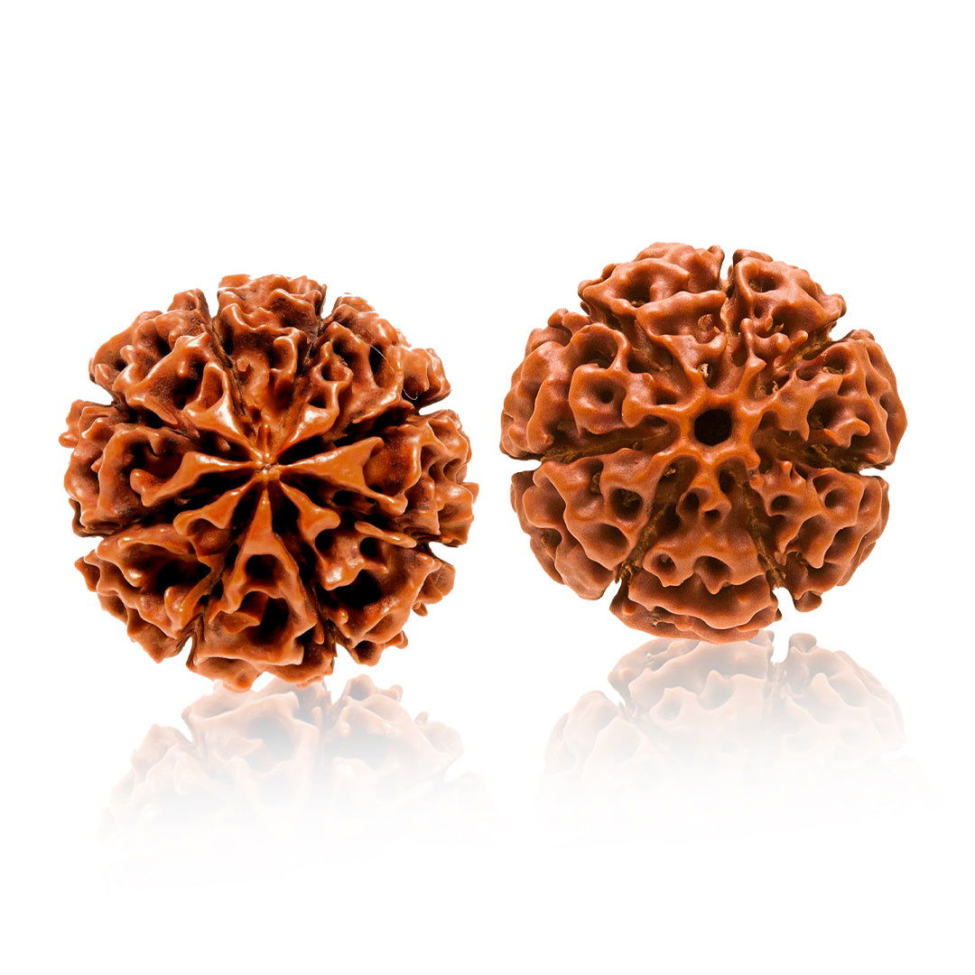 Shubh Samriddhi Rudraksha Combo - Gemsmantra