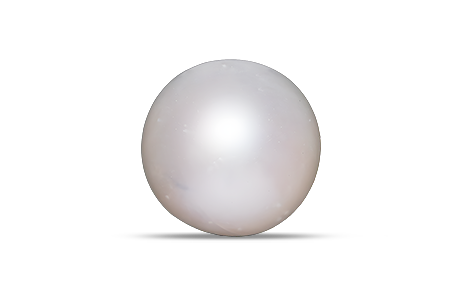 South Sea Pearl