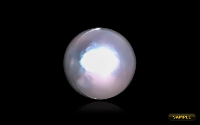 South Sea Pearl