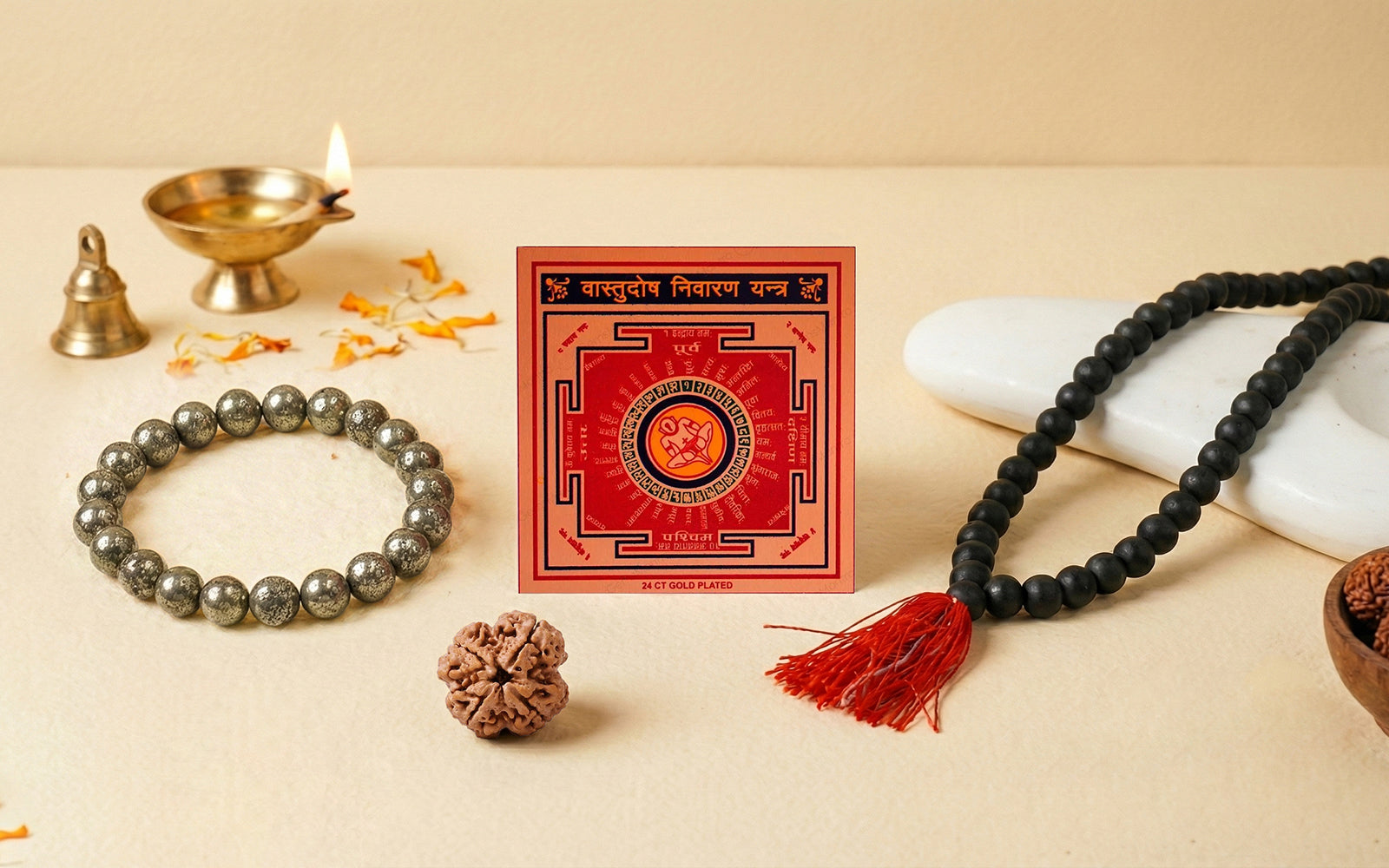 Vastu & Energy Correction Combo