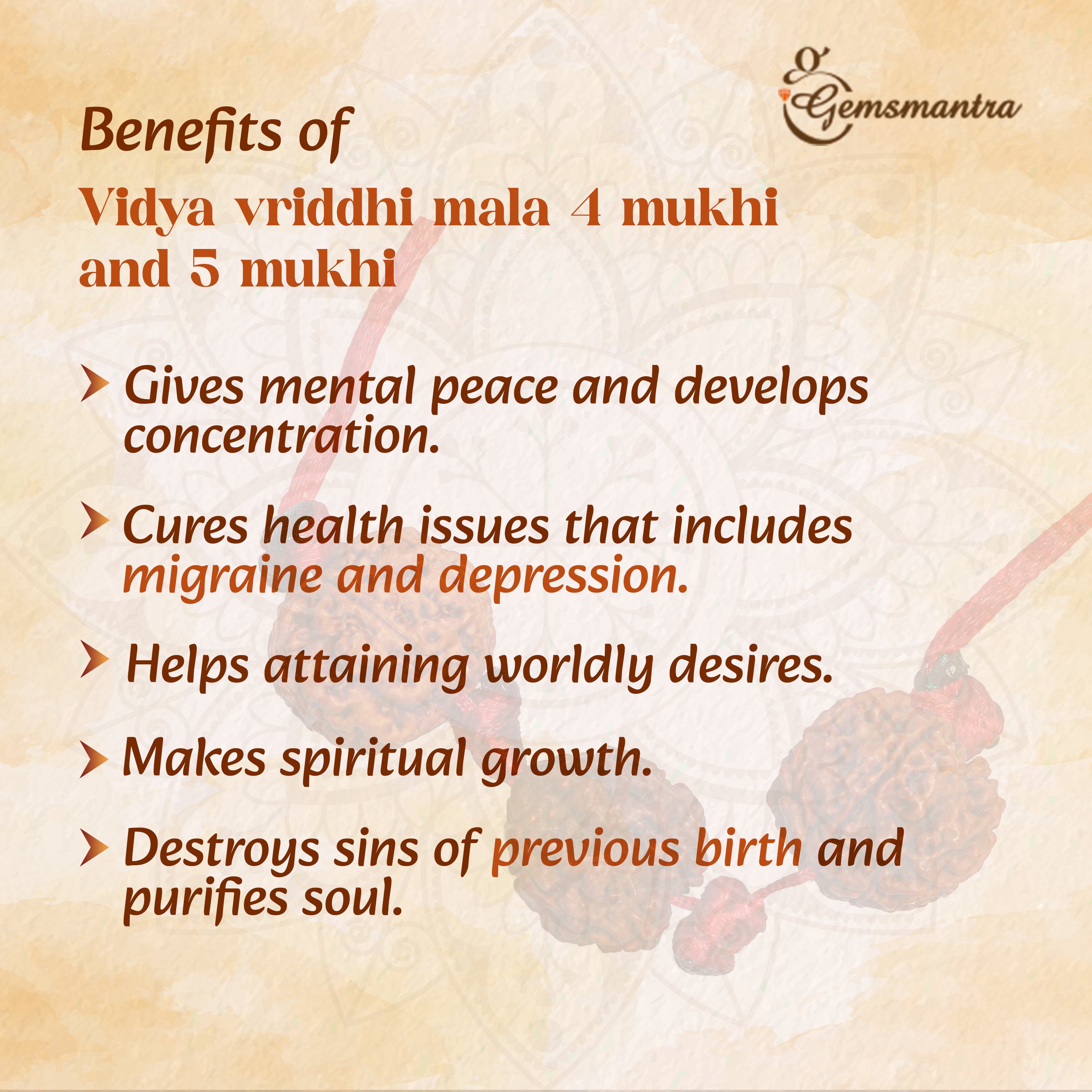 Vidya Vriddhi Mala / Bracelet - 4 Mukhi and 5 Mukhi Rudraksha