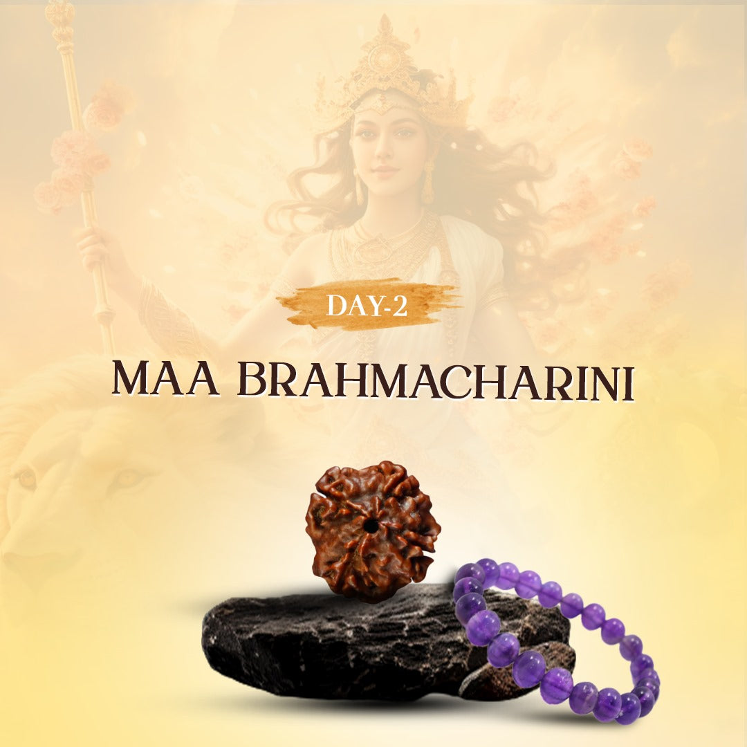 Day 2 - 4 Mukhi Rudraksha + Amethyst Bracelet
