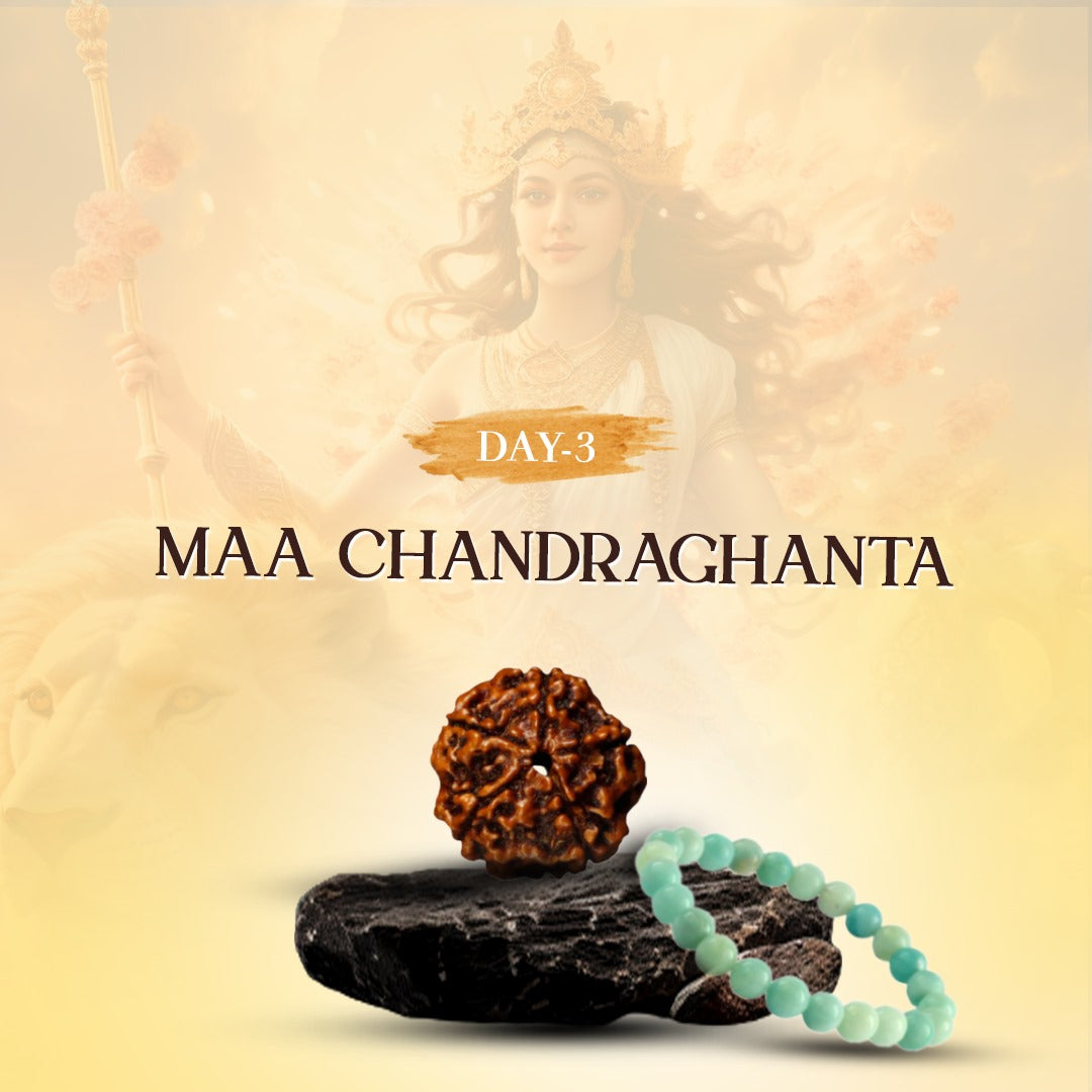 Day 3 - 5 Mukhi Rudraksha + Amazonite Bracelet